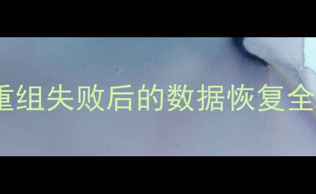 图片 RAID0阵列重组失败后的数据恢复全流程指南_1