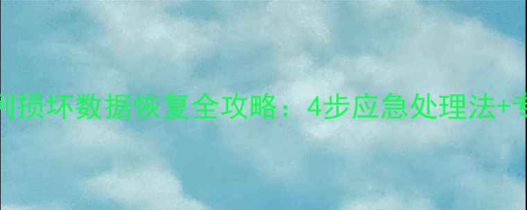 图片 RAID1阵列损坏数据恢复全攻略：4步应急处理法+专业工具1