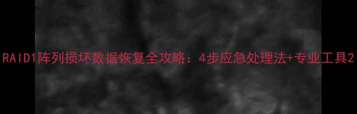 图片 RAID1阵列损坏数据恢复全攻略：4步应急处理法+专业工具2