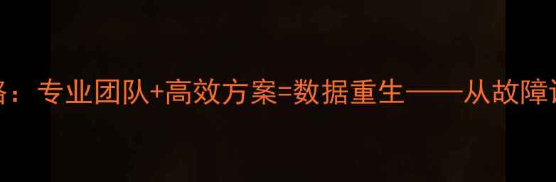 图片 RAID5数据恢复全攻略：专业团队+高效方案=数据重生——从故障诊断到数据重建完整1