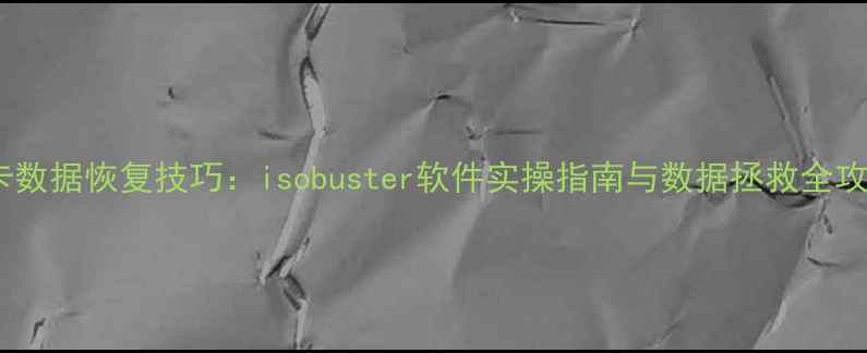 图片 SD卡数据恢复技巧：isobuster软件实操指南与数据拯救全攻略1
