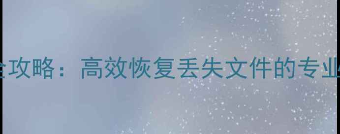 图片 SD卡无媒体数据恢复全攻略：高效恢复丢失文件的专业指南（含操作步骤）2