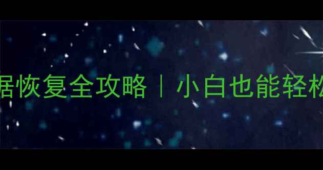 图片 SSD格式化后数据恢复全攻略｜小白也能轻松找回重要文件1