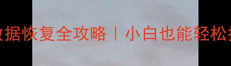 图片 SSD格式化后数据恢复全攻略｜小白也能轻松找回重要文件2