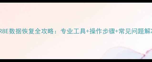 图片 SonySR8E数据恢复全攻略：专业工具+操作步骤+常见问题解决指南