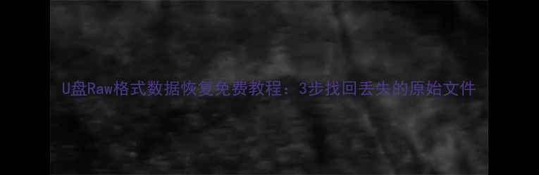 图片 U盘Raw格式数据恢复免费教程：3步找回丢失的原始文件