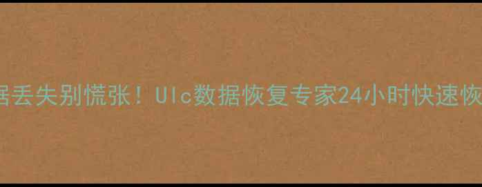 图片 U盘数据丢失别慌张！Ulc数据恢复专家24小时快速恢复方案