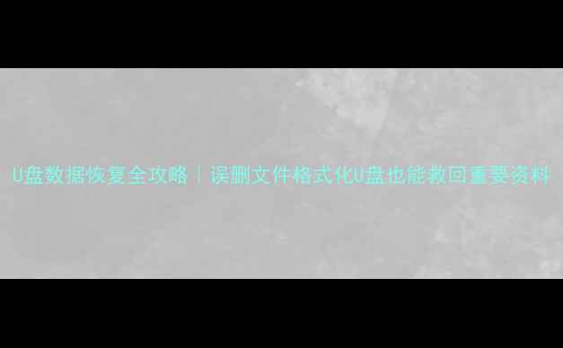 图片 U盘数据恢复全攻略｜误删文件格式化U盘也能救回重要资料