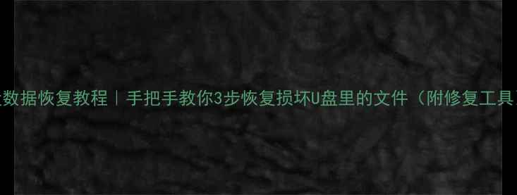 图片 U盘数据恢复教程｜手把手教你3步恢复损坏U盘里的文件（附修复工具）1
