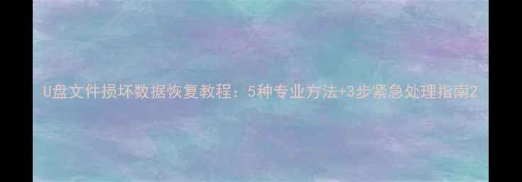 图片 U盘文件损坏数据恢复教程：5种专业方法+3步紧急处理指南2