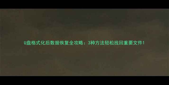 图片 U盘格式化后数据恢复全攻略：3种方法轻松找回重要文件1