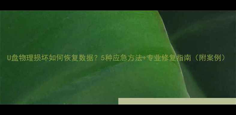 图片 U盘物理损坏如何恢复数据？5种应急方法+专业修复指南（附案例）