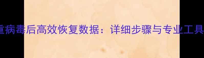 图片 U盘重病毒后高效恢复数据：详细步骤与专业工具推荐