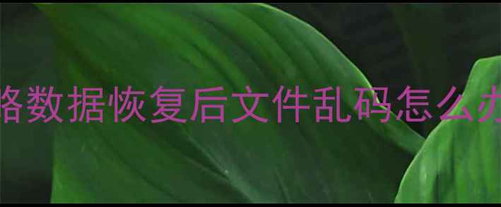 图片 WPS文档恢复后乱码全攻略数据恢复后文件乱码怎么办？手把手教你解决！✨1