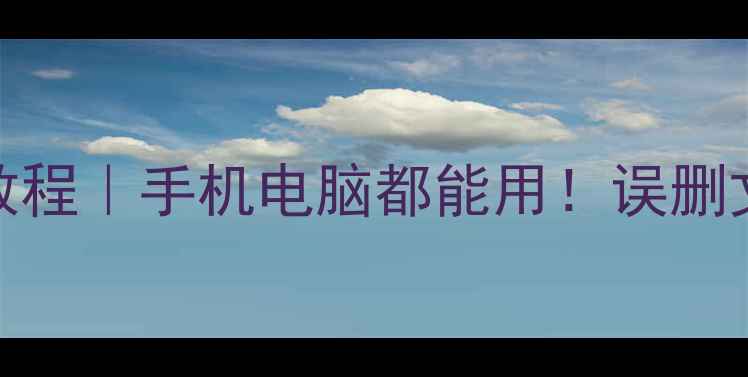 图片 WPS移动硬盘数据恢复教程｜手机电脑都能用！误删文件秒恢复的图解步骤2