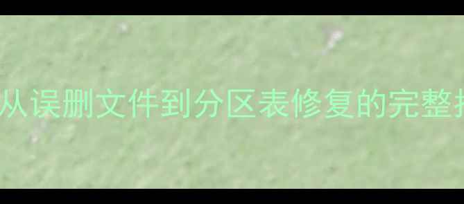 图片 WinHex数据恢复全攻略：从误删文件到分区表修复的完整指南（附详细操作步骤）1