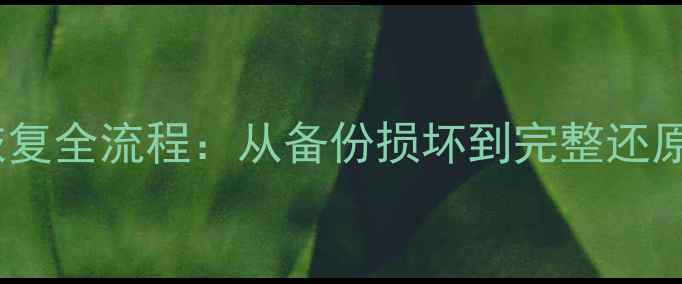 图片 iCloud数据恢复全流程：从备份损坏到完整还原的详细教程2