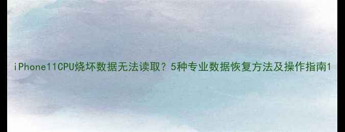 图片 iPhone11CPU烧坏数据无法读取？5种专业数据恢复方法及操作指南1