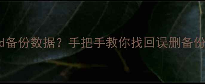 图片 iPhone如何恢复iCloud备份数据？手把手教你找回误删备份文件（附详细教程）1