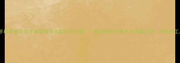 图片 ✨安卓手机数据恢复全攻略猫咪主题手机必看！一键找回照片聊天记录备忘录（附免费工具）✨1