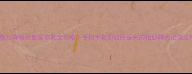 图片 ✨魅族21降级后数据恢复全攻略｜手把手教你找回丢失的相册聊天记录文件💻1