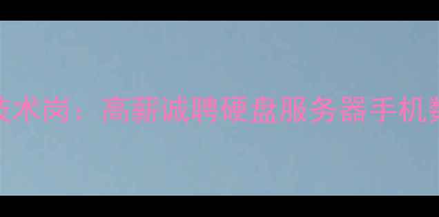 图片 上海数据恢复公司急招技术岗：高薪诚聘硬盘服务器手机数据恢复工程师（急聘）