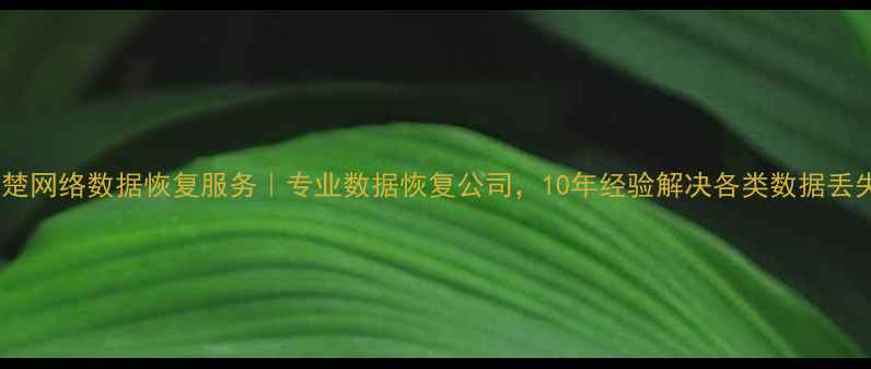 图片 上海永楚网络数据恢复服务｜专业数据恢复公司，10年经验解决各类数据丢失问题2