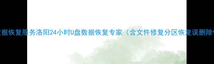 图片 专业数据恢复服务洛阳24小时U盘数据恢复专家（含文件修复分区恢复误删除恢复）