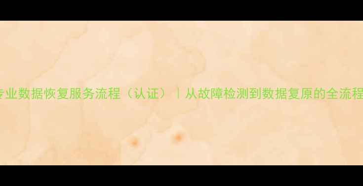 图片 专业数据恢复服务流程（认证）｜从故障检测到数据复原的全流程1