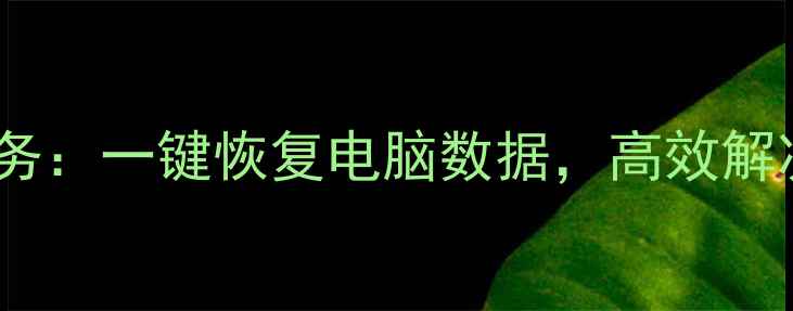图片 专业数据恢复服务：一键恢复电脑数据，高效解决数据丢失难题1