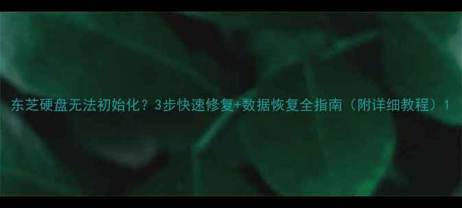 图片 东芝硬盘无法初始化？3步快速修复+数据恢复全指南（附详细教程）1