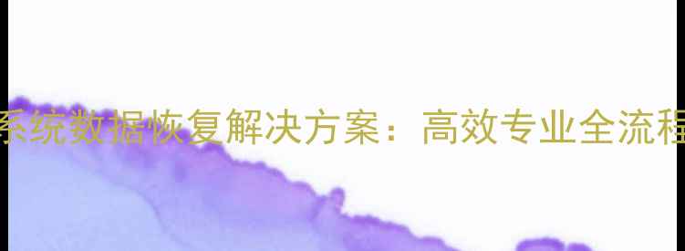 图片 中仑收银系统数据恢复解决方案：高效专业全流程服务指南