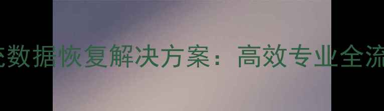 图片 中仑收银系统数据恢复解决方案：高效专业全流程服务指南1