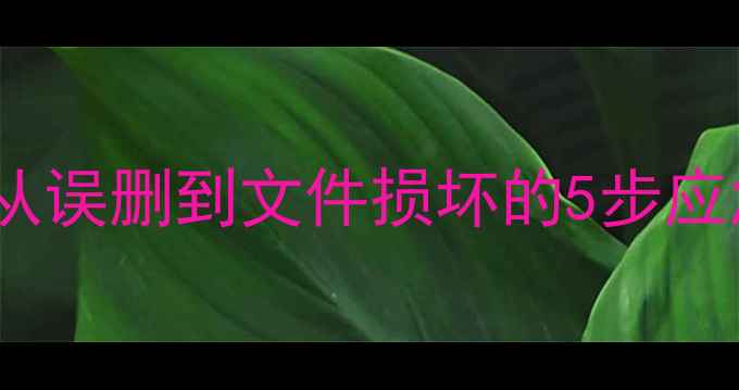 图片 云端数据恢复全攻略：从误删到文件损坏的5步应急方案（附工具推荐）1