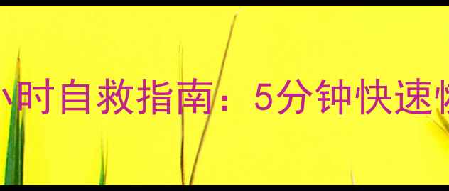 图片 企业数据流量中断48小时自救指南：5分钟快速恢复+7步系统加固方案