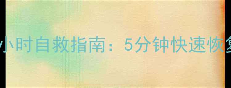 图片 企业数据流量中断48小时自救指南：5分钟快速恢复+7步系统加固方案1