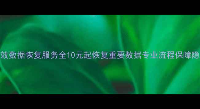 图片 低价高效数据恢复服务全10元起恢复重要数据专业流程保障隐私安全