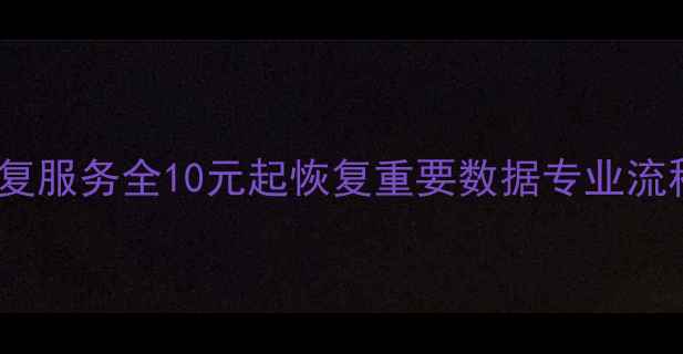 图片 低价高效数据恢复服务全10元起恢复重要数据专业流程保障隐私安全2