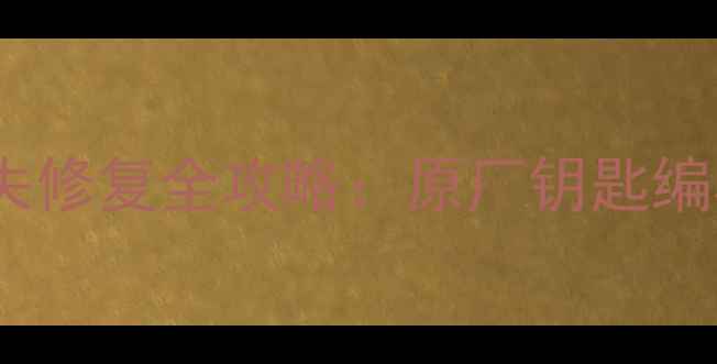 图片 保时捷智能钥匙数据丢失修复全攻略：原厂钥匙编程恢复技术与解决方案2