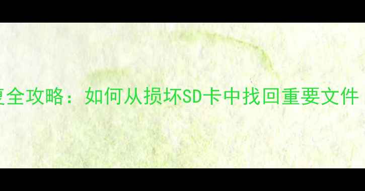 图片 储存卡数据恢复全攻略：如何从损坏SD卡中找回重要文件（附详细教程）