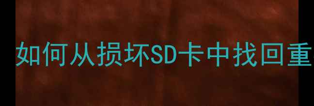 图片 储存卡数据恢复全攻略：如何从损坏SD卡中找回重要文件（附详细教程）2