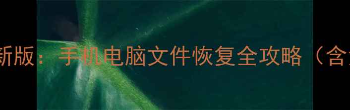图片 八度数据恢复最新版：手机电脑文件恢复全攻略（含免费软件下载）1