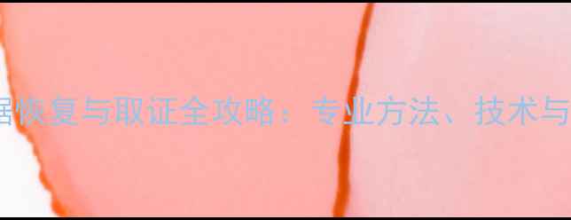 图片 内存卡数据恢复与取证全攻略：专业方法、技术与实战案例1