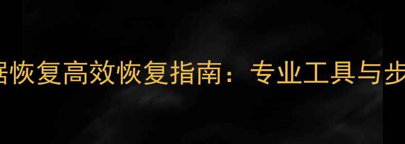 图片 加密数据恢复高效恢复指南：专业工具与步骤详解2
