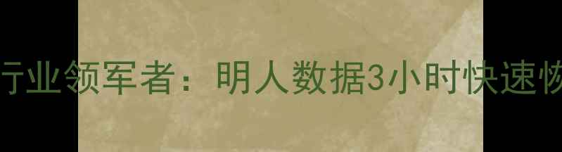 图片 南昌数据恢复行业领军者：明人数据3小时快速恢复解决方案全