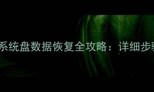 图片 固态硬盘系统盘数据恢复全攻略：详细步骤与技巧2