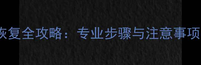 图片 大内存硬盘数据恢复全攻略：专业步骤与注意事项（附实操指南）2