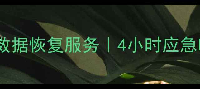 图片 大同效率源数据恢复中心｜专业数据恢复服务｜4小时应急响应｜大同本地化数据修复专家1