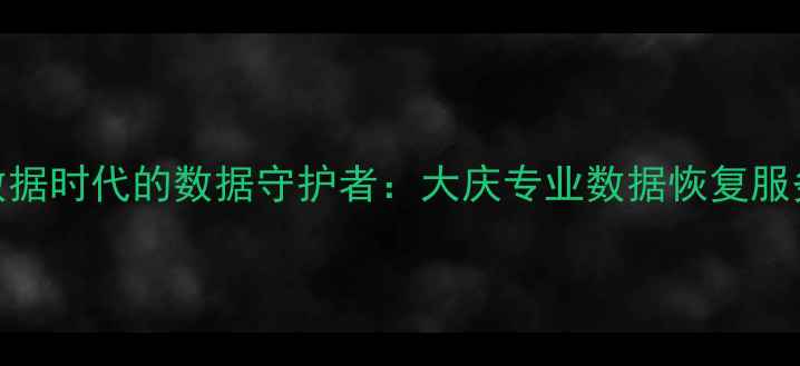 图片 大数据时代的数据守护者：大庆专业数据恢复服务全