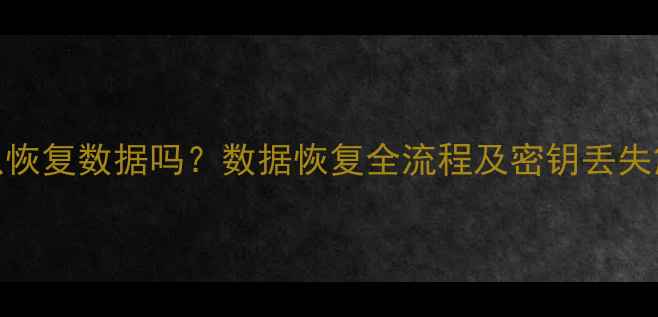 图片 密钥可以恢复数据吗？数据恢复全流程及密钥丢失解决方案